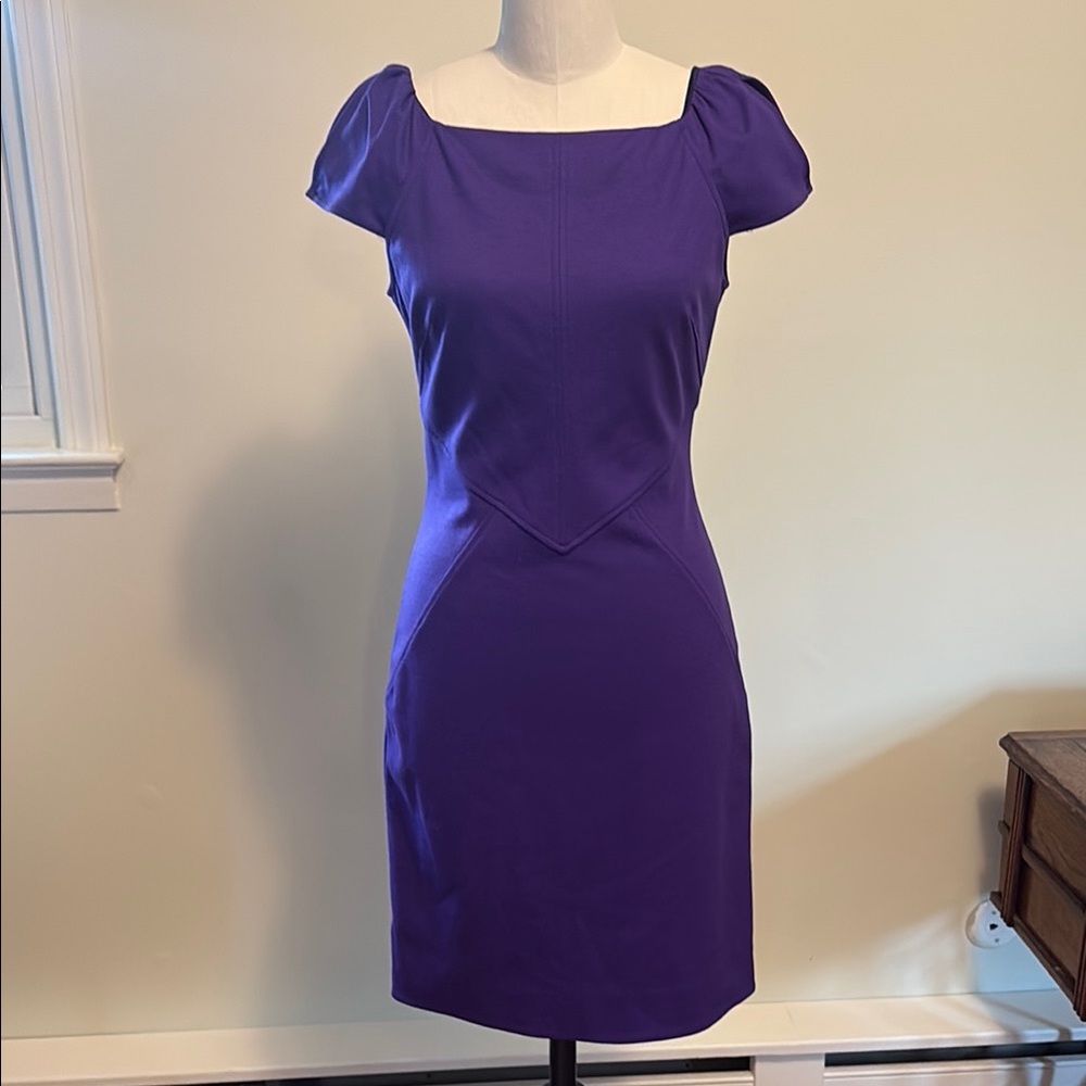 Elegant Purple Dress by Diane vonFurstenberg/Size 6
